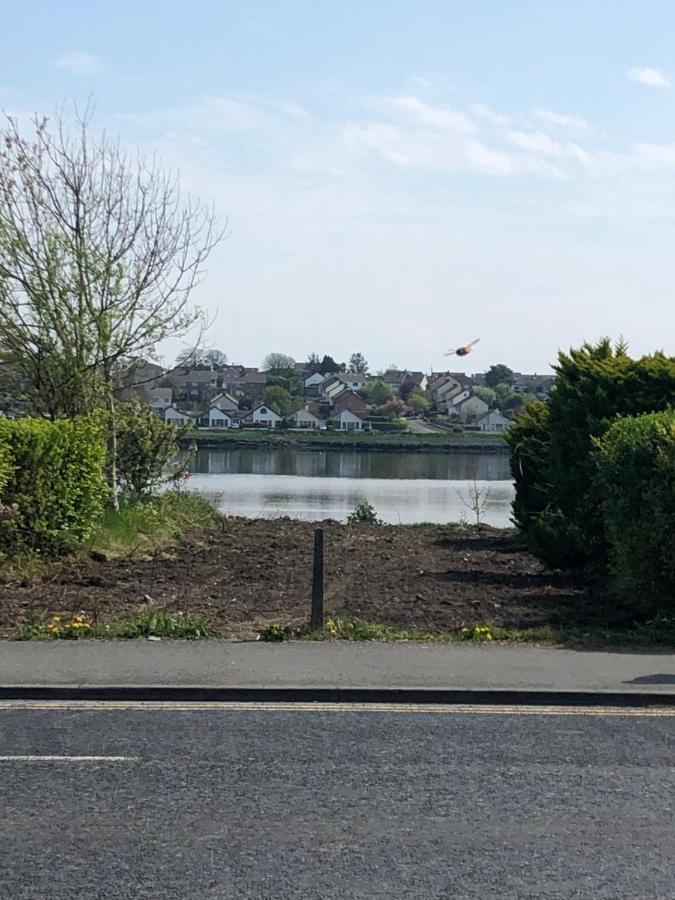 Lake View Galway City المظهر الخارجي الصورة